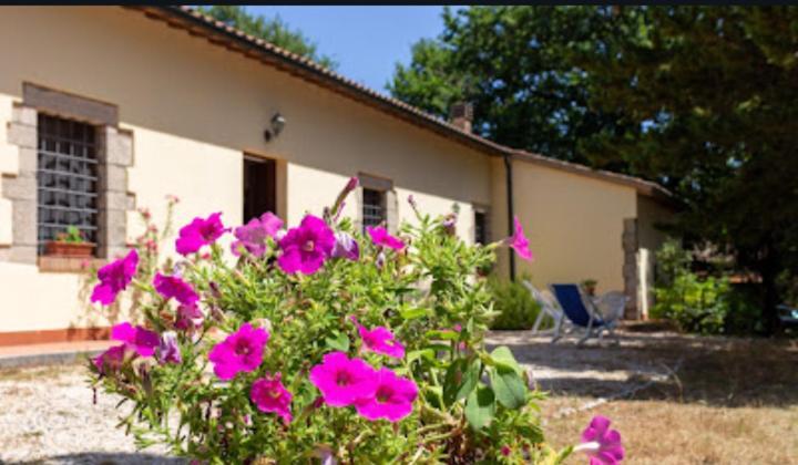 La Pecora Verde ซานจีมิญญาโน ภายนอก รูปภาพ